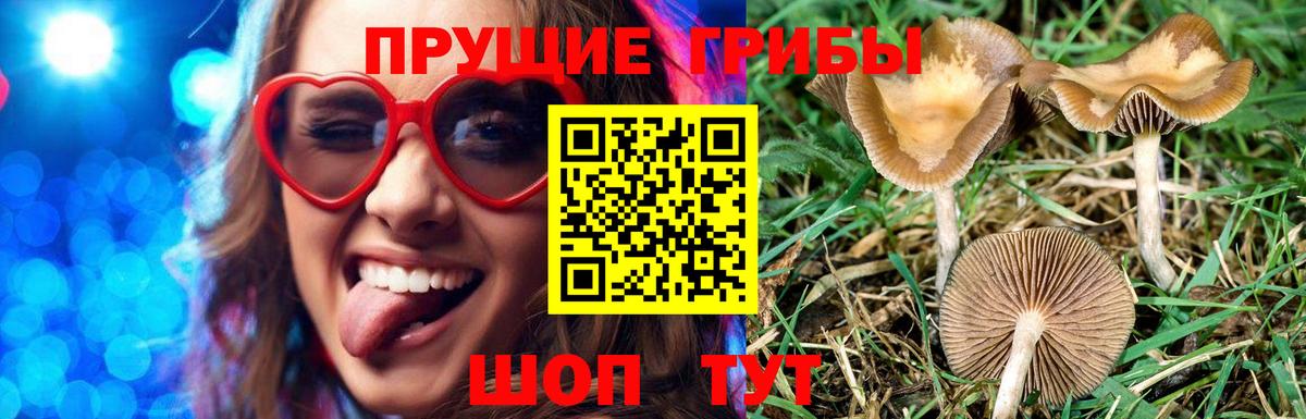 Галлюциногенные грибы Cubensis  Вход с VPN  Ульяновск 