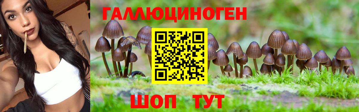Галлюциногенные грибы MAGIC MUSHROOMS Ульяновск